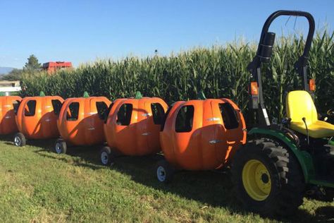 Pumpkin Patch Business, Farm Fest, Farm Festival, Diesel Train, Pig Races, Pumpkin Patch Farm, Raising Arizona, Garden Center Displays, Pumpkin Field