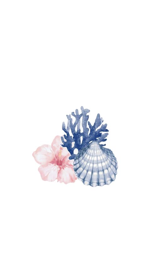 Pins For Widget, Shell Widget, Cute Wallpaper Ideas Iphone, Aesthetic Summer Widgets, Coastal Wallpaper Ipad, Blue Sea Shells, Wallpaper Aesthetic Flower, Blue Seashells, Sea Aesthetic Wallpaper