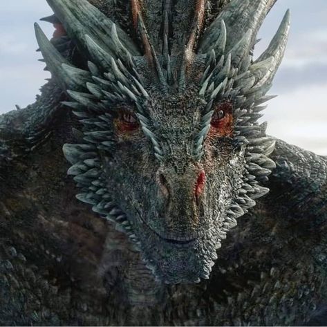 Drogon Game Of Thrones, Jon Snow And Daenerys, Game Of Thrones Facts, A Game Of Thrones, Game Of Thrones Dragons, Game Of Thrones Quotes, Got Dragons, Game Of Thrones Funny, Night King