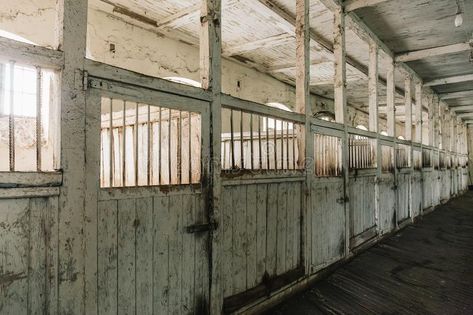 Abandoned Horse Stables, Old Stables For Horses, Stables For Horses, Old Stables, Swan Family, Horse Barn Plans, Horse Box, Barn Plans, Wooden Horse