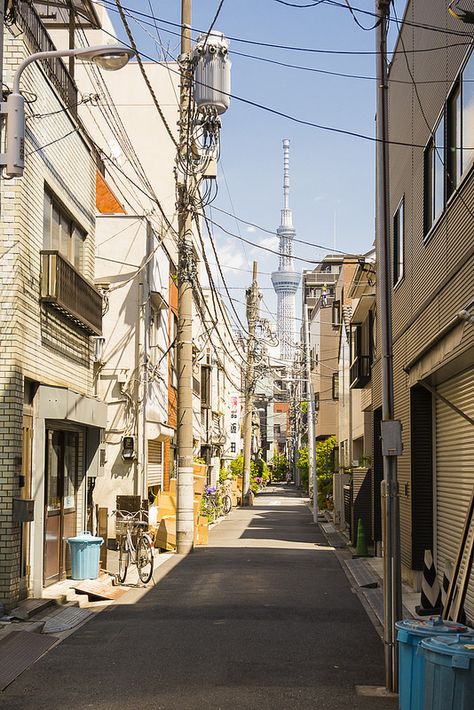 Tokyo Alleyway, Japanese Alleyway, Tokyo Alley, Alley Way, Tokyo Aesthetic, Perjalanan Kota, Japan Street, Trip To Japan, Japanese Landscape