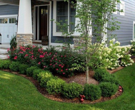 Landscape Designs, Cheap Landscaping Ideas, Pathway Landscaping, Small Front Yard Landscaping, Front Yard Design, Front Landscaping, Garden Shrubs, Landscape Plans, Home Landscaping