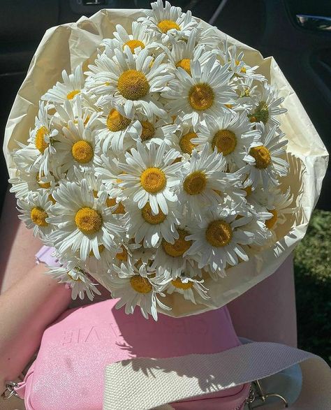 Daisy Flower Bouquet Aesthetic, Aesthetic Flor, Daisy Flower Bouquet, Daisies Bouquet, Bouquet Of Daisies, Daisy Bouquet, Boquette Flowers, Nothing But Flowers, Flower Therapy