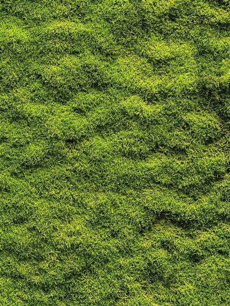 Grass Texture Architecture, Grass Texture Photoshop Architecture, Green Texture Architecture, Landscape Design Top View, Grass Texture Photoshop, Plant Top View, Grass Texture Seamless, Green Grass Texture, Grass Photoshop