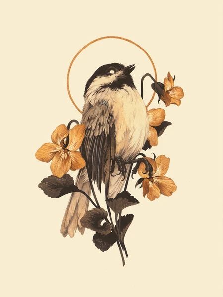 Teagan White Prints | Nucleus Portland Sparrow Tattoo Design, Teagan White, Kunst Inspo, Sparrow Tattoo, Animal Illustration Art, Siluete Umane, Desenho Tattoo, White Prints, 문신 디자인