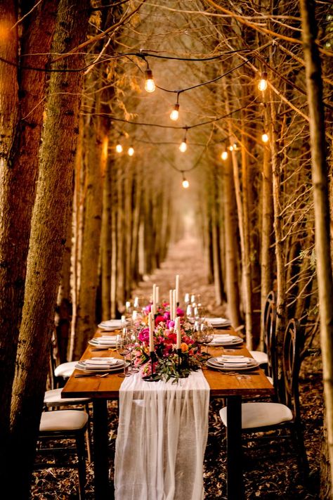 Enchanted Forest Wedding Reception, Woodland Reception, Whimsical Picnic, Harvest Table Setting, Forest Wedding Ideas, Evening Wedding Reception, Forest Wedding Inspiration, Bonfire Wedding, Forest Wedding Reception