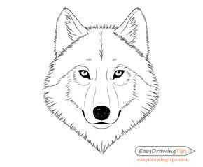 How to Draw a Wolf Face & Head Step by Step - EasyDrawingTips Wolf Eye Drawing, Wolf Face Drawing, Face Proportions Drawing, Wolf Drawing Easy, Wolf Outline, Head Step By Step, Draw A Wolf, Husky Tattoo, Husky Drawing