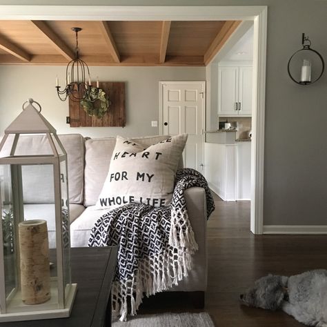 Paint Colors – Mindfully Gray                                                                                                                                                                                 More Mindful Grey Living Room, Livingroom Paint Colors, Mindful Grey, Gray Sherwin Williams, Room Paint Ideas, Mindful Gray Sherwin Williams, Joanna Gaines Paint Colors, Fixer Upper Living Room, Mindful Gray