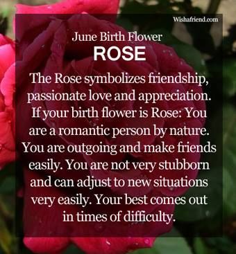 Birth Month Flower : June: Rose June Gemini, June Birth Flower, Gemini Girl, Gemini Quotes, Flower Meanings, Gemini Facts, Language Of Flowers, Month Flowers, Birth Month Flowers