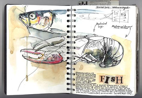 Duncan Cameron Artist | Sketchbooks Duncan Cameron, Sketchbook Layout, Natural Form Art, Gcse Art Sketchbook, A Level Art Sketchbook, Observational Drawing, Artist Sketchbook, Fish Drawings, Gcse Art