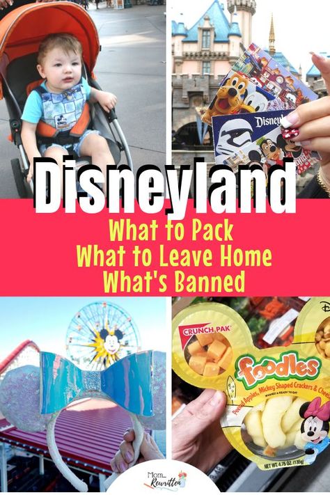 Strollers At Disneyland, Disneyland Stroller Tips, 1 Day At Disney World, Disneyland Dos And Donts, What To Pack To Disneyland, Disneyland Things To Bring, Family Disneyland Trip, Snacks To Pack For Disneyland, First Trip To Disneyland