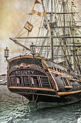 Tall Ships Festival- HMS Bounty | Many images including phot… | Flickr Hms Bounty, Navi A Vela, Bateau Pirate, Old Sailing Ships, Ship Of The Line, Clipper Ship, Sailing Vessel, Wooden Ship, Sailing Yacht