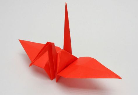 Origami | Traditional Kyoto Origami Traditional, Origami Yoda Instructions, Origami Fish Easy, How To Do Origami, Origami Guide, Japanese Culture Art, Origami Easy Step By Step, Origami Christmas Tree, Origami Swan