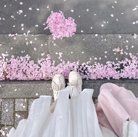 Flowers Umbrella, Light Pink Aesthetic, Bow Outfit, Sakura Flowers, Soft Pink Theme, Korean Japanese, Sweet Bakery, Flowers Blooming, Japan Aesthetic