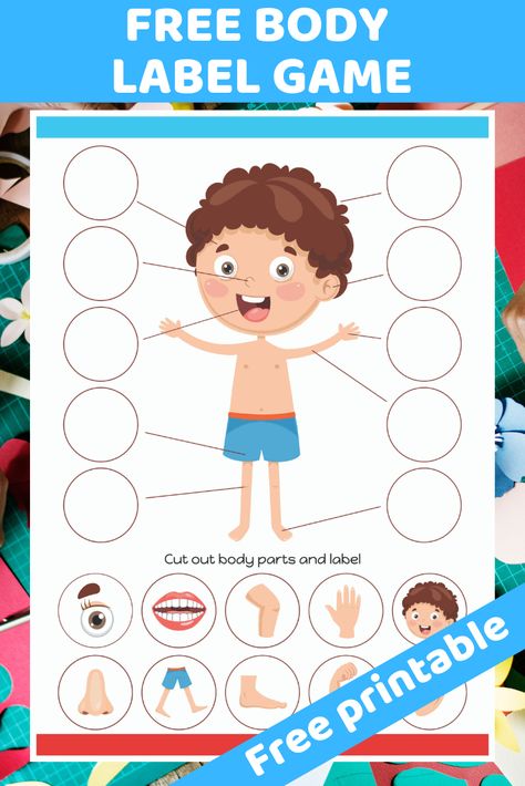 Free printable worksheet. Children cut our and label correct body parts. Great worksheet for preschool children to learn about the human body. Gideon Bible, Body Parts Preschool Activities, Body Parts For Kids, Body Preschool, Human Body Activities, Body Parts Preschool, Kids Worksheets, Free Preschool Printables, Worksheet For Kids