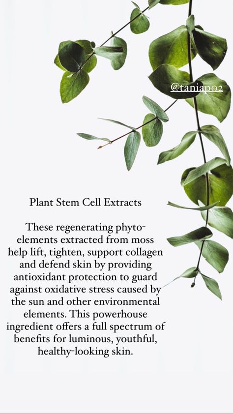 Monat Ingredients, Cells Biology, Skin Notes, Monat Skincare, Notes Ideas, Vegan Products, Monat Hair, Plant Stem, Vegan Skincare