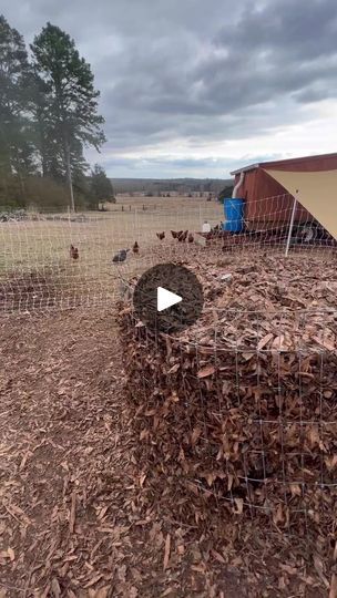 Hot Compost, Chicken Manure Compost, Chicken Composting, Dream Homestead, Chicken Manure, Compost Pile, Pasture Raised Eggs, Chicken Tractor, Farm Fun