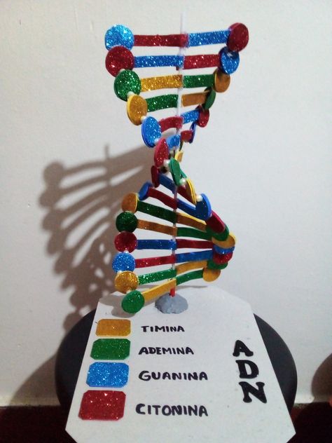 Dna Double Helix Model Projects, Dnk Model Diy, Dna Project Ideas, Dna Model Project Ideas Biology, Dna Model Project Ideas, Dna Paper Model, Dna Structure Model, Dna Double Helix Model, Model Dna