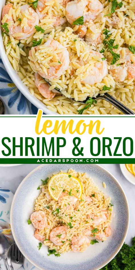 Lemon Shrimp and Orzo is a light, zesty shrimp recipe that mixes orzo pasta with garlic, shallot, shrimp, butter, lemon juice and white wine to create a simple, elegant and delicious meal. Serve this with crusty bread and freshly grated Parmesan cheese. Shrimp Orzo Pasta, Orzo With Shrimp, Orzo Shrimp Recipes, Shrimp And Orzo, Orzo And Shrimp Recipes, Shrimp And Orzo Recipes, Lemon Shrimp Orzo, Lemon Orzo Pasta With Shrimp, Lemon Shrimp Orzo Recipes