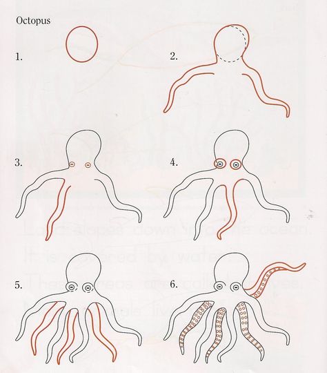 Have you written to your kids yet this month? If not, what are you waiting for? I worked on our letters last week and have already sent ... Octopus How To Draw, Octopus Drawing Step By Step, How To Paint An Octopus, How To Draw An Octopus, Octopus Painting Easy, Octopus Drawing Easy, Easy To Draw Octopus, How To Draw Sea Creatures, Easy Octopus Drawing