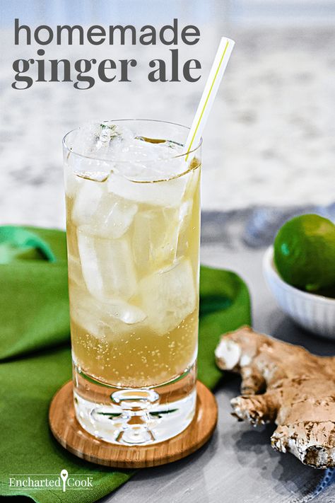 Ginger Soda Drinks, Making Ginger Ale, Ginger Syrup Recipe Homemade, Homemade Ginger Drink, Homemade Ginger Ale Soda, Ginger Soda Recipes, Vernors Ginger Ale, How To Make Ginger Ale, Home Made Ginger Ale