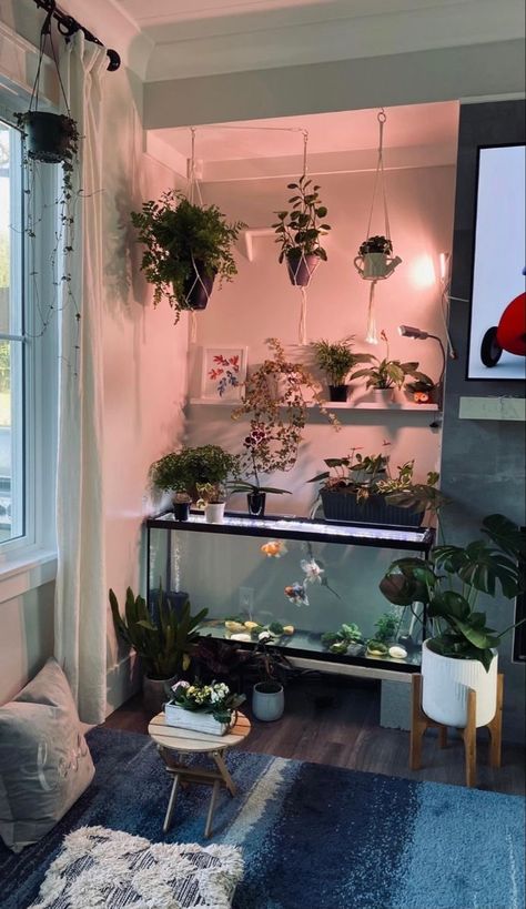 bedroom decor aesthetic plants books boho college green brown Terrarium In Bedroom, Dream Fish Tank, Fish Tank Behind Couch, Fishtank Room Ideas, Fish Tank Entryway, Fish Tank Display Ideas, Fish Tank Apartment, Fish Tank In Bedroom Ideas, Aquarium Living Room Ideas