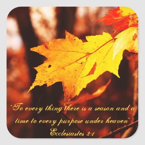 "To every thing there is a season and a time to every purpose under heaven" Ecclesiastes 3:1 quote with beautiful autumn leaves in full their full glory of golden color. Perfect for anyone who loves the beauty of fall. Totally customizable for you to personalize as you please! October Pictures Fall, Beautiful Fall Pictures, September Fall, Fall Time Quotes, October Pictures, Autumn Poems, Fall Faves, Fall Greeting Cards, Fall Images