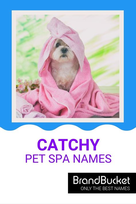 In search of amazing Pet Spa Names? You’ve come to the right place! Here you'll find 50+ catchy brand names for Pet Spas that will have a whole zoo of customers coming to your door! Check out the names now! Pet spa names, pet spa name ideas, pet grooming business names, pet boarding business names, pet grooming salon, pet grooming business, pet grooming van, pet grooming shop, dog grooming, dog grooming salon ideas, cat grooming salon, cat groomer, animal care business, animal caretaker Cat Grooming Salon, Spa Names, Grooming Salon Ideas, Dog Grooming Salon Ideas, Pet Grooming Shop, Pet Grooming Business, Pet Sitting Business, Cat Groomer, Pet Grooming Salon