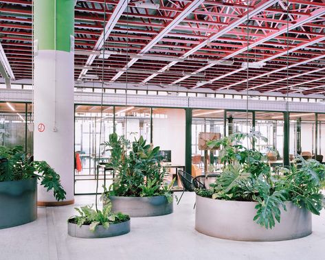 Inside an unoccupied industrial building close to Charleroi train station, new working spaces for high-tech companies and laid out according to a city grid. Autonomous workspaces frame a central public space dedicated to the communal activities of this industrial ecosystem. In the context of a post-industrial city faced with an employment deficit, the conversion of the spaces of this golden age is as slow as that of historic know-how. The Advanced Engineering Centre acts as a laboratory to exper Factory Office Design, Factory Interior, Leisure Space, Industrial Building, Community Space, Plant Spacing, Cross Section, Space Architecture, Industrial Buildings