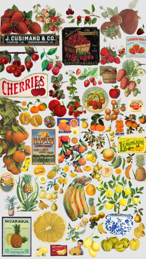 Vintage fruit wallpaper Fruits Wallpaper, Florida Oranges, Fruit Wallpaper, Vintage Fruit, Naples Florida, Lemonade, Cherry, Fruit, 10 Things