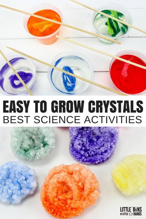 Growing Crystals Science Project, Science Project Board, Science Project For Kids, Grow Crystals, Crystals For Kids, Make Crystals, Cool Science Projects, Borax Crystals, Growing Crystals