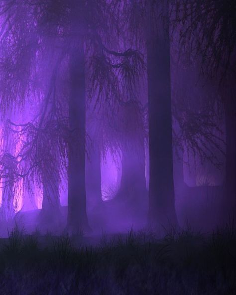 Purple Forest, Purple Aesthetic Background, Toro Inoue, Dark Purple Wallpaper, Violet Aesthetic, Purple Vibe, Lavender Aesthetic, Dark Purple Aesthetic, New Retro Wave