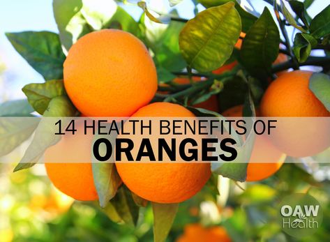 As one of the fruits with the most vitamin C, the health benefits of oranges are many. Check out the top 14 health benefits of oranges. Benefits Of Oranges, Oranges Benefits, Sunset Autumn, Green Sunset, Digestive Juice, Lemon Benefits, Fruit Benefits, Blue Photography, Improve Heart Health