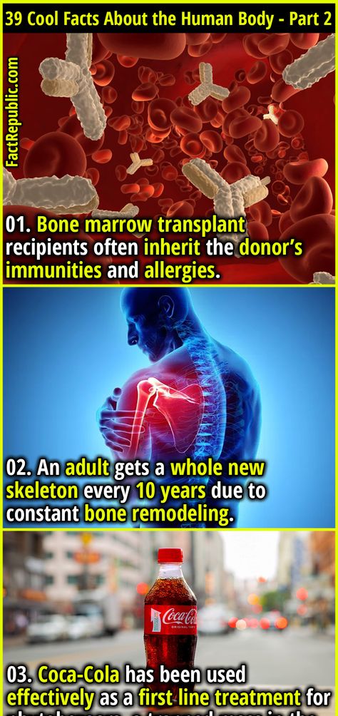 39 Cool Facts About the Human Body That’ll Just Blow Your Mind - Part 2 - Fact Republic Interesting Facts About Humans, Animal Facts For Kids, Disturbing Facts, Science Facts Mind Blown, Fun Facts Mind Blown, Human Body Facts, Facts About Humans, Cool Facts, Fact Republic