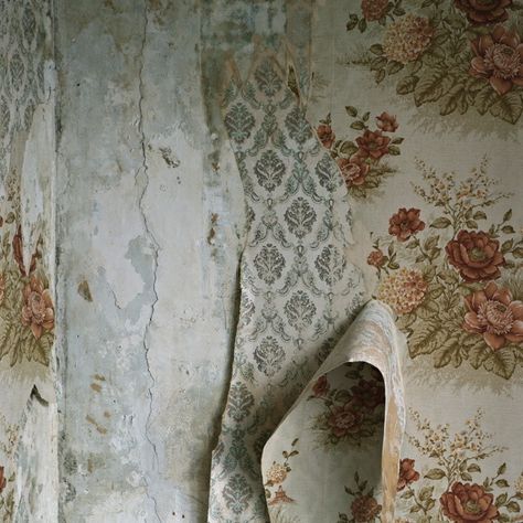 Peeling Wallpaper, Idda Van Munster, Old Wall, Yellow Wallpaper, Old Wallpaper, Vintage Wallpaper, Of Wallpaper, Wabi Sabi, Wall Wallpaper