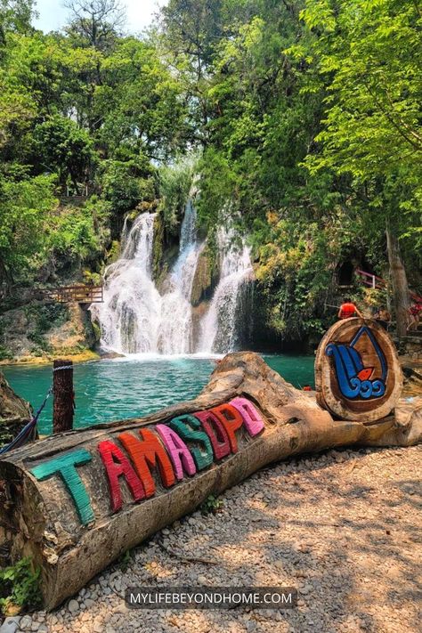 The most complete travel guide to Tamasopo Waterfalls in La Huasteca Potosina, Mexico Mexico Waterfalls, Mexico Nature, Mexico Restaurants, Mexico Beaches, Explore Mexico, Cliff Jumping, Natural Swimming Pools, Mexico Resorts, Mexico Destinations