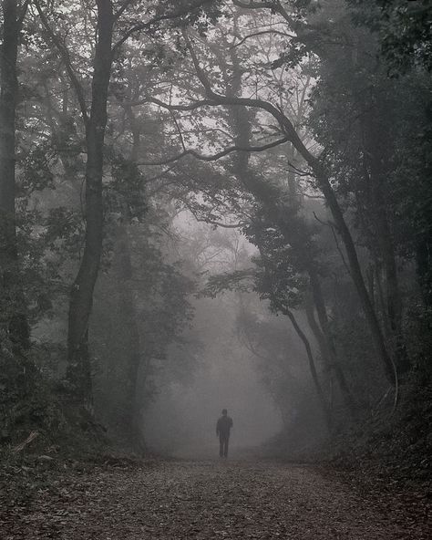 Misty Road, Gothic Americana, Horror Vampire, Southern Aesthetic, Magical Pathways, Lone Wanderer, Detective Aesthetic, Gothic Novel, Thriller Novels