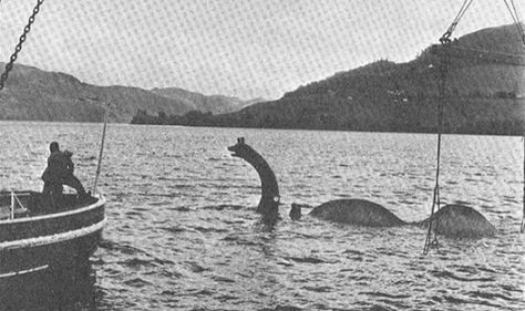 Monster Sightings, Zombie Movies, Sea Monster, Loch Ness Monster, Loch Ness, Capture Photo, Area 51, Winter Storm, Sea Monsters