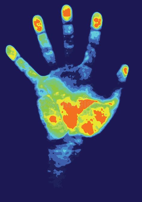 Hand identification. Color thermal model of a hand , #affiliate, #Color, #identification, #Hand, #hand, #model #ad Scientific Illustration, Hand Model, Fact Sheet, Hand Illustration, Art Plastique, Icon Illustration, Physical Activities, Stock Images Free, Stock Vector