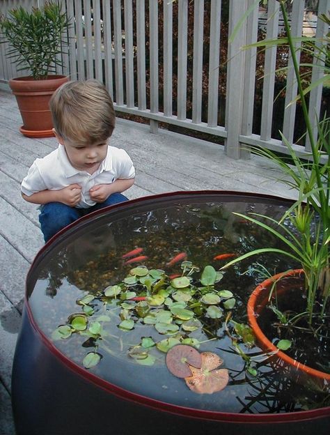 Koi Pond Ideas, Container Pond, Tanaman Air, Mini Pond, Container Water Gardens, Patio Pond, Taman Air, Indoor Water Garden, Garden Water Feature