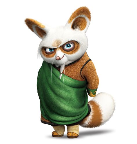 SITE Kung Fu Panda Costume, Kung Fu Panda Party, Master Shifu, Panda Costumes, Kung Fu Panda 3, Character Types, Dragon Warrior, Dreamworks Animation, Wing Chun