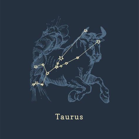 Bull Illustration Taurus Zodiac Art, Taurus Symbol Aesthetic, Taurus Constellation Wallpaper, Zodiac Taurus Art, Taurus Zodiac Sign Symbol, Taurus Illustration, Taurus Star Constellation, Taurus Zodiac Constellation, Zodiac Constellation Art