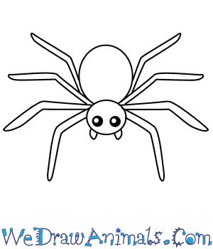 *FR*Spider Drawing & Sketches for Kids Spider Drawings Simple, Spider Art For Kids, Halloween Spider Drawing Easy, Spider Easy Drawing, Drawing Spiders Easy, How To Draw Spider, Spider Drawing Easy, Spider Sketch Easy, Easy Spider Drawing