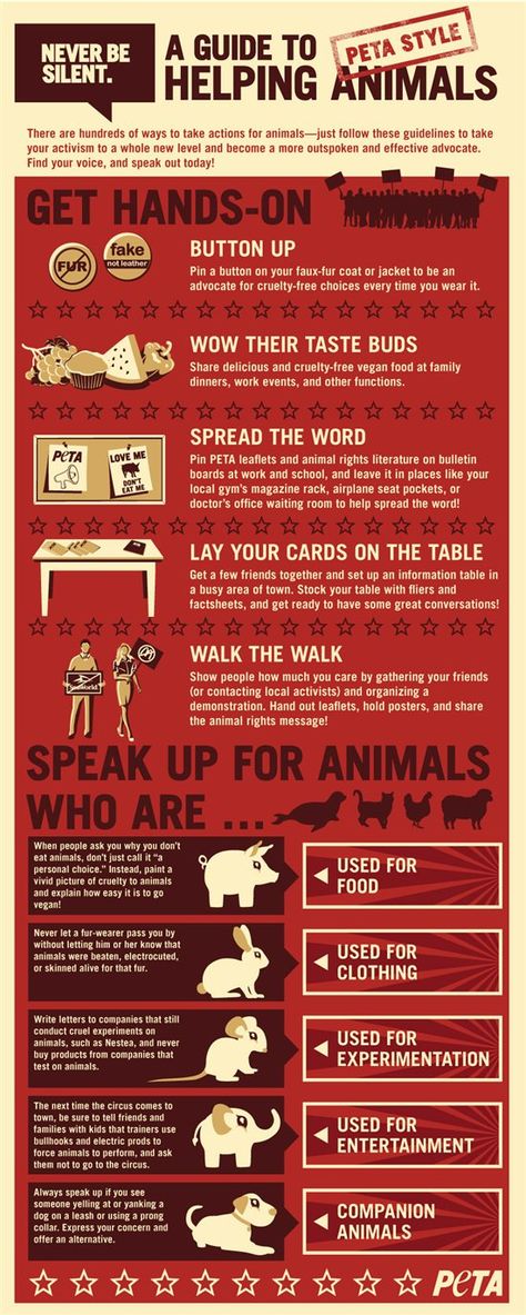 Make Some Noise: A Guide to Helping Animals (Infographic) | Actions | PETA Animal Infographic, Cards On The Table, Animal Doctor, Helping Animals, Make Some Noise, Animal Activism, Animal Activist, Why Vegan, Stop Animal Cruelty