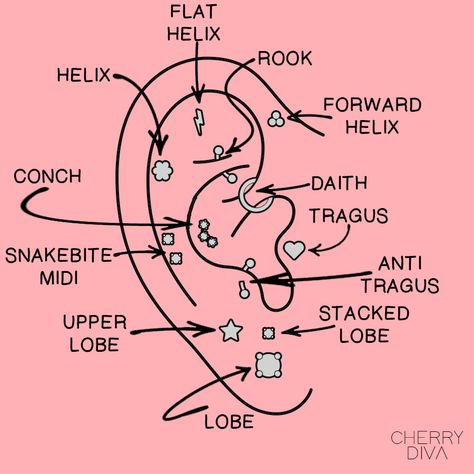 Pircing Ears Girl, Ear Piercing Spots, Piercing Spots, Mouth Piercings, Different Ear Piercings, Men's Piercings, Ear Piercings Chart, Piercing Chart, Cool Ear Piercings