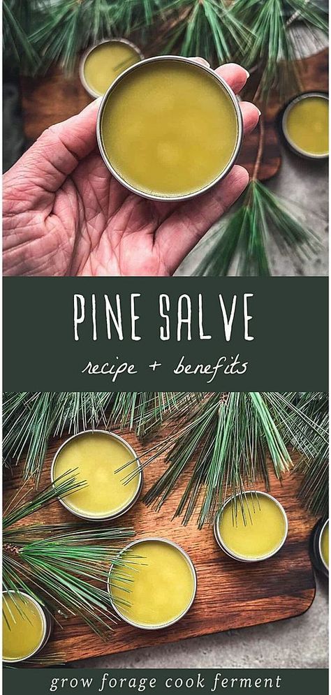 Discover how to make your own Pine Needle Salve, a gem in our Pine Needle Recipes & Wild Food Foraging collection at growforagecookferment.com. This salve, perfect for winter, helps soothe and heal dry, cracked skin while offering the invigorating aroma of a pine forest. Made from pine infused oil, it's a simple, effective herbal remedy that also provides aromatherapy benefits, ideal for moisturizing dry hands and lips. Find more Medicinal Weeds, DIY Natural Products, and DIY Beauty Recipes. Winter Herbal Remedies, Pine Oil Diy, Pine Salve, Forage Recipes, Herbal Salve Recipes, Nerve Pain Remedies, Ayurveda Medicine, Homemade Salve, Medicinal Weeds