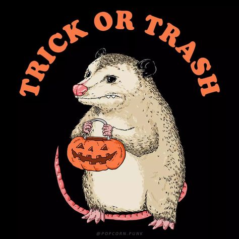 Trick or Trash! . . . . #opossum #possums #drawing #halloweenart #art #artist #possummemes | Instagram Possum Cartoon, Opossum Drawing, Possum Drawing, Opossum Art, Halloween Night, Halloween Art, Bentley, Art Artist, Branding