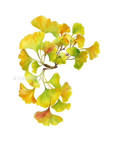 Golden Leaf Painting, Gingko Biloba Tree, Leaf Paintings, Ginko Biloba, Gingko Biloba, Ceramics Inspiration, Fabric Painting On Clothes, Gingko Leaves, Leaf Painting