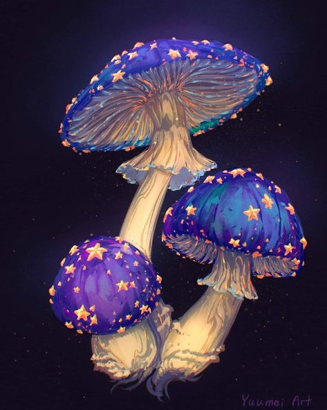 Yuumei Art, Mushroom Paint, Mushroom Pictures, Mushroom Drawing, Mushroom Art, Trippy Art, A Year Ago, Art Sketchbook, Painting Inspiration