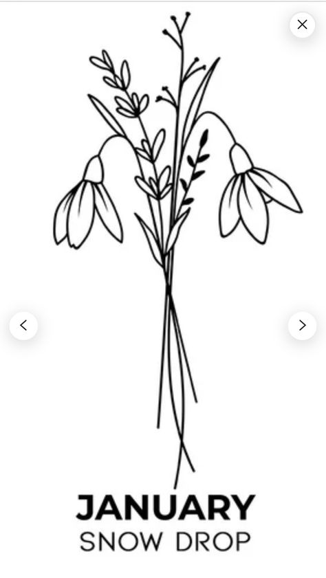 January Flower Drawing, Snowdrop Flower Tattoo, January Flower, Snowdrop Flower, Tattoo Board, Birth Flower Tattoos, Horse Coloring Pages, Cricut Joy, Easy Drawings Sketches